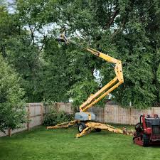 Best Storm Damage Tree Cleanup  in Powell, OH