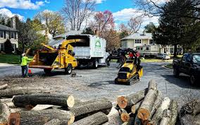 Lawn Grading and Leveling in Powell, OH